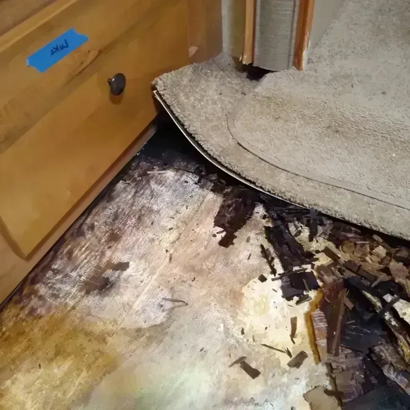 Wood Floor Water Damage in Clarkdale, AZ